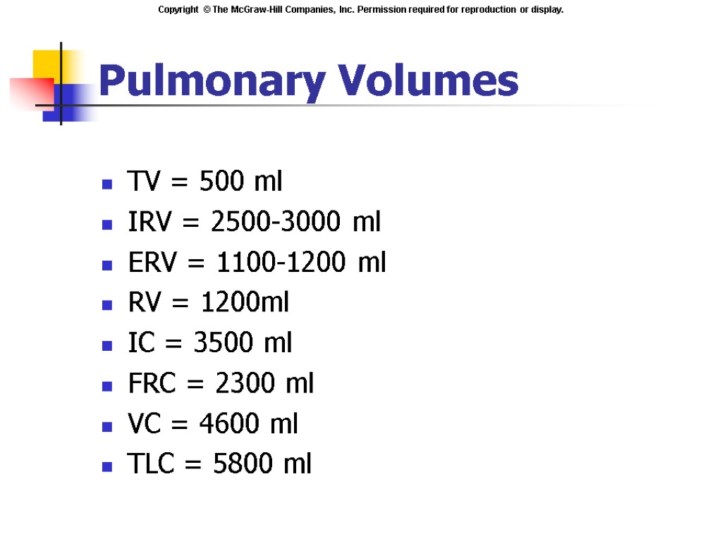 Pulmonary Volumes TV = 500 ml IRV = 2500-3000 ml ERV = 1100-1200 ml